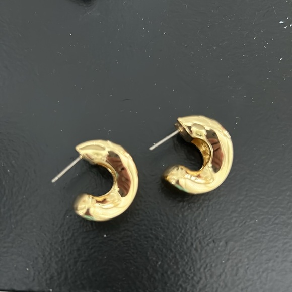 Jenny Bird NWOT Doune Chunky Hoop Earrings - Picture 4 of 9